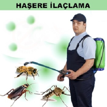 Kahta Böcek İlaçlama